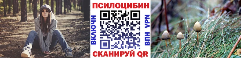 как найти закладки Красновишерск Галлюциногенные грибы Magic Shrooms